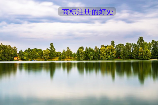 企業(yè)注冊(cè)商標(biāo) 企業(yè)注冊(cè)商標(biāo)