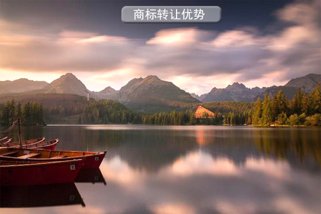 商標(biāo)轉(zhuǎn)讓的優(yōu)勢(shì)和需要的材料?