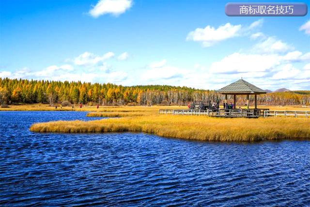 申請(qǐng)注冊(cè)商標(biāo)，商標(biāo)取名有什么技巧?