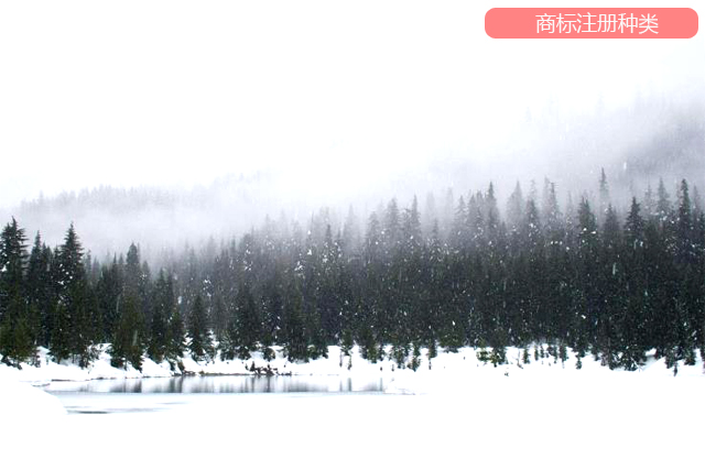 申請一個商標注冊在多類上的注意事項 申請一個商標注冊在多類上的注意事項