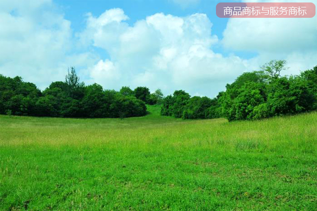 商品商標(biāo)與服務(wù)商標(biāo)有哪些不同的作用? 商品商標(biāo)與服務(wù)商標(biāo)有哪些不同的作用?